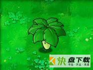 植物大战僵尸叶子保护伞有什么用-叶子保护伞作用介绍