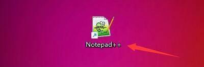 Notepad++如何显示行号栏-Notepad++显示行号栏的方法