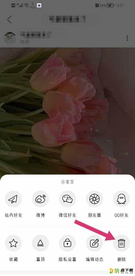 绿洲