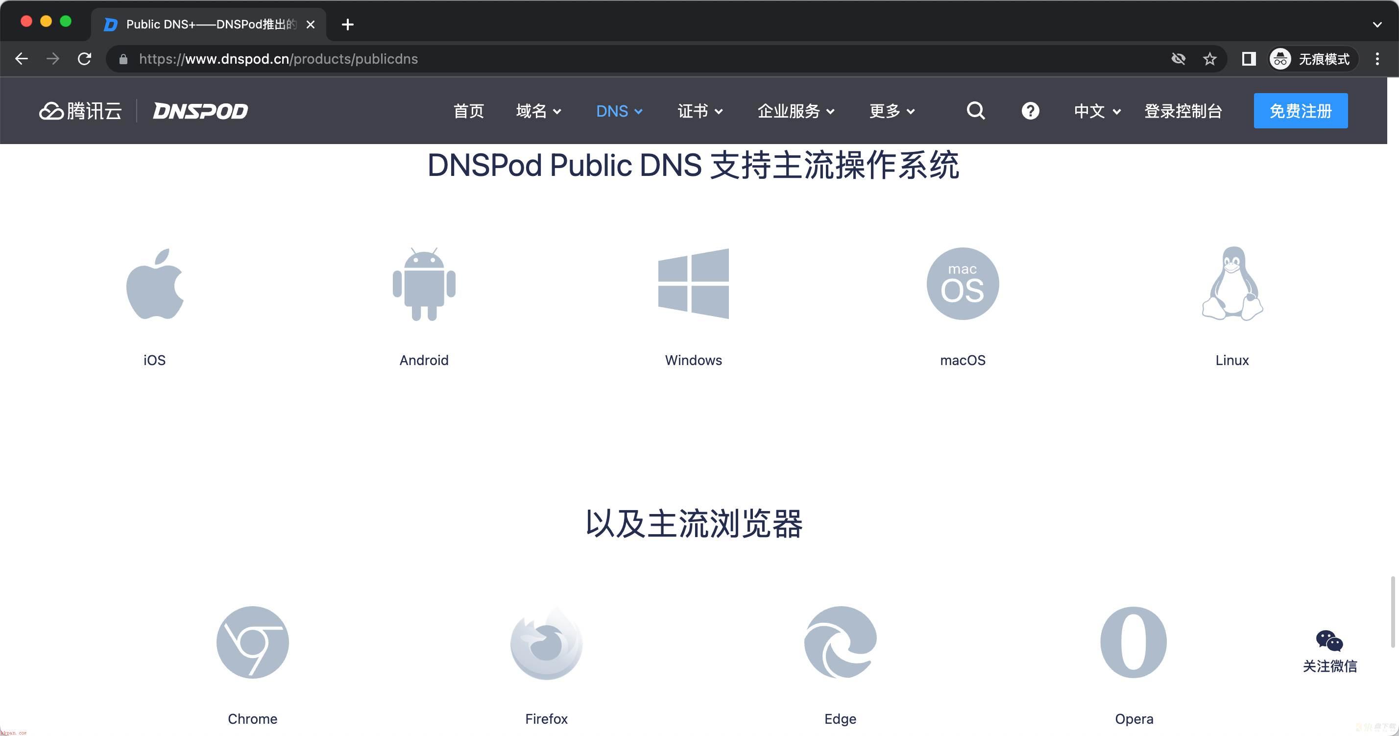 DNS 解析