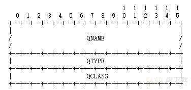 DNS 解析