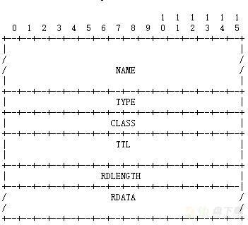 DNS 解析