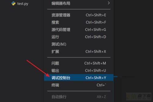 vscode调试控制台