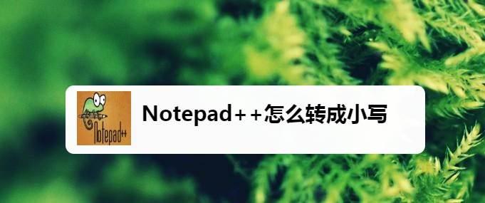 notepad++怎么把大写转换成小写? Notepad++大小写转换的技巧