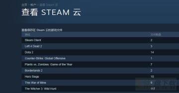 steam