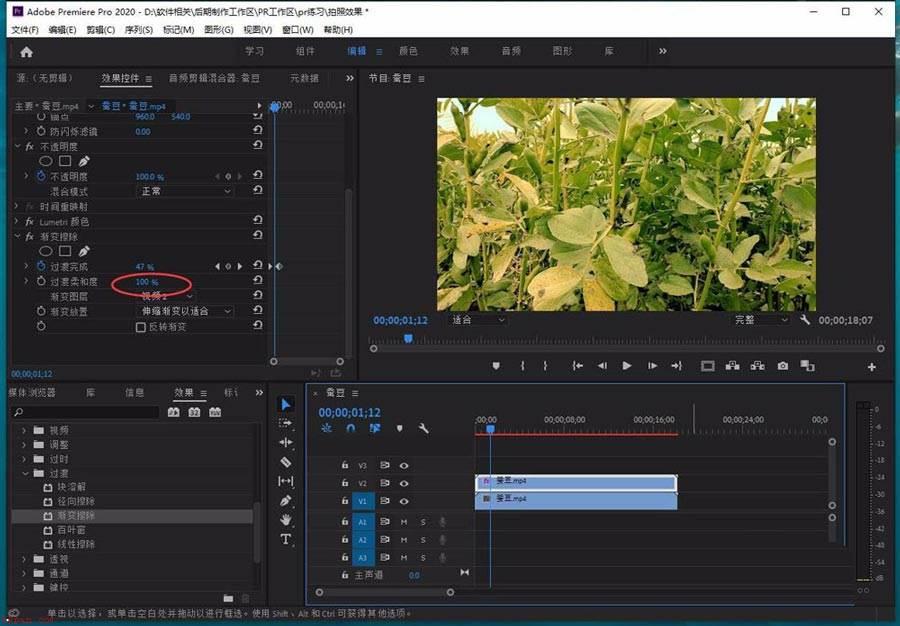 pr视频颜色过渡效果怎么实现?premiere画面由翠绿慢慢过渡到枯黄的技巧