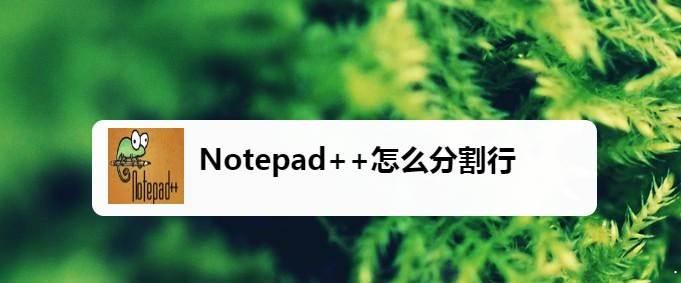 notepad++怎么把一行分多行? Notepad++分割行的用法