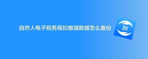 自然人电子税务局如何备份数据? 个税电脑端数据备份与恢复备份的技巧