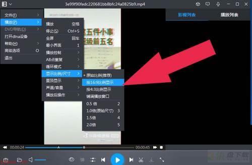 视频播放比例