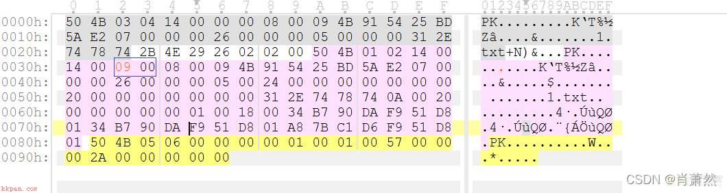 TCP/IP