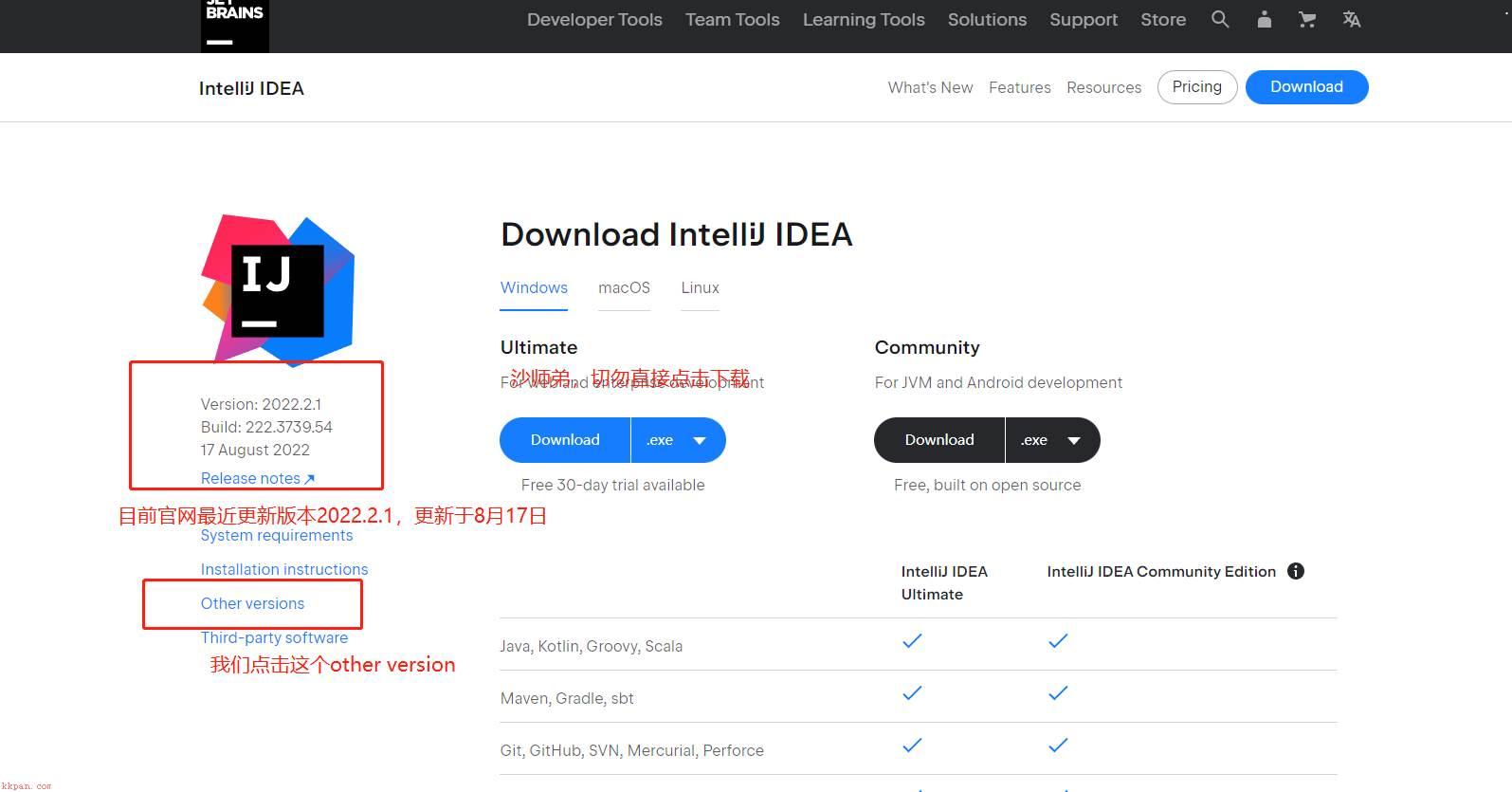 IntelliJ IDEA2022.2版本最新破解激活教程下载安装教程（永久激活，作者亲测有效）