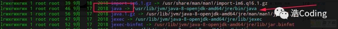 Java