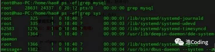 Linux命令之Grep——文本搜索