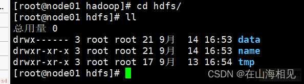 HDFS完全分布式集群搭建与配置及常见问题总结