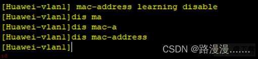 学习笔记-安全-MAC地址攻击