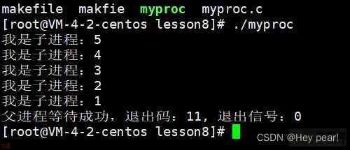 Linux——进程控制