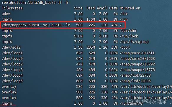 ubuntu逻辑分区扩容