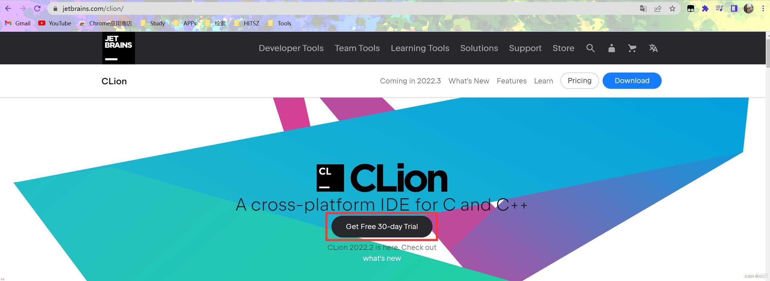 Clion