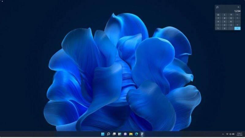 微软未发布的 Win11“Bloom”早期主题壁纸曝光：奇特的蓝色花朵