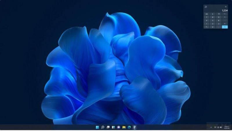 微软未发布的 Win11“Bloom”早期主题壁纸曝光：奇特的蓝色花朵