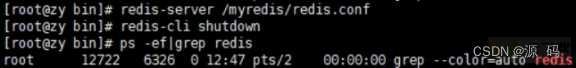 Redis6