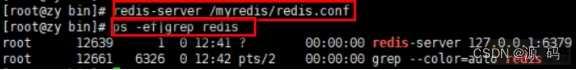 Redis6