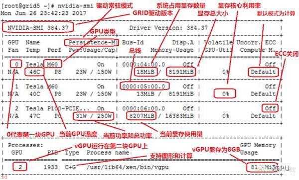 GPU使用情况查看