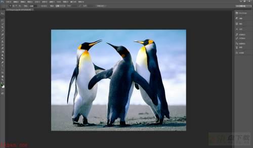 Photoshop CS6如何减少图片杂色-减少图片杂色的方法