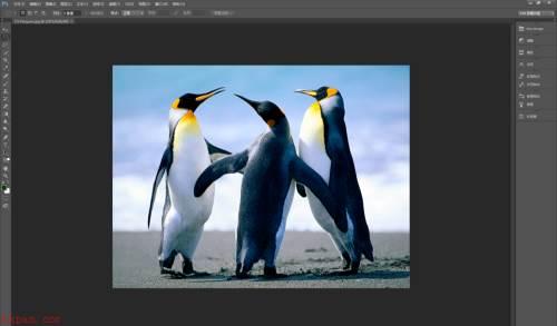 Photoshop CS6如何减少图片杂色-减少图片杂色的方法