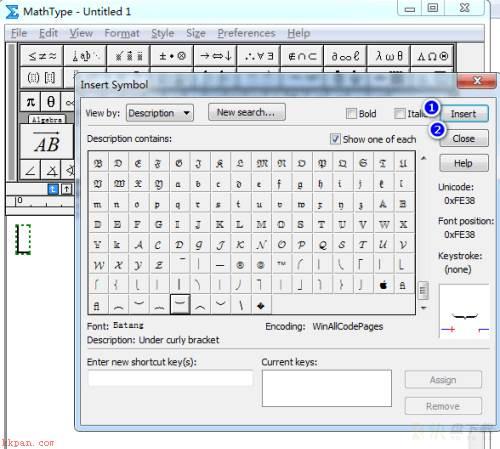 MathType