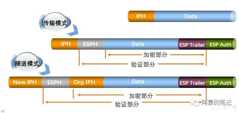 IPSec