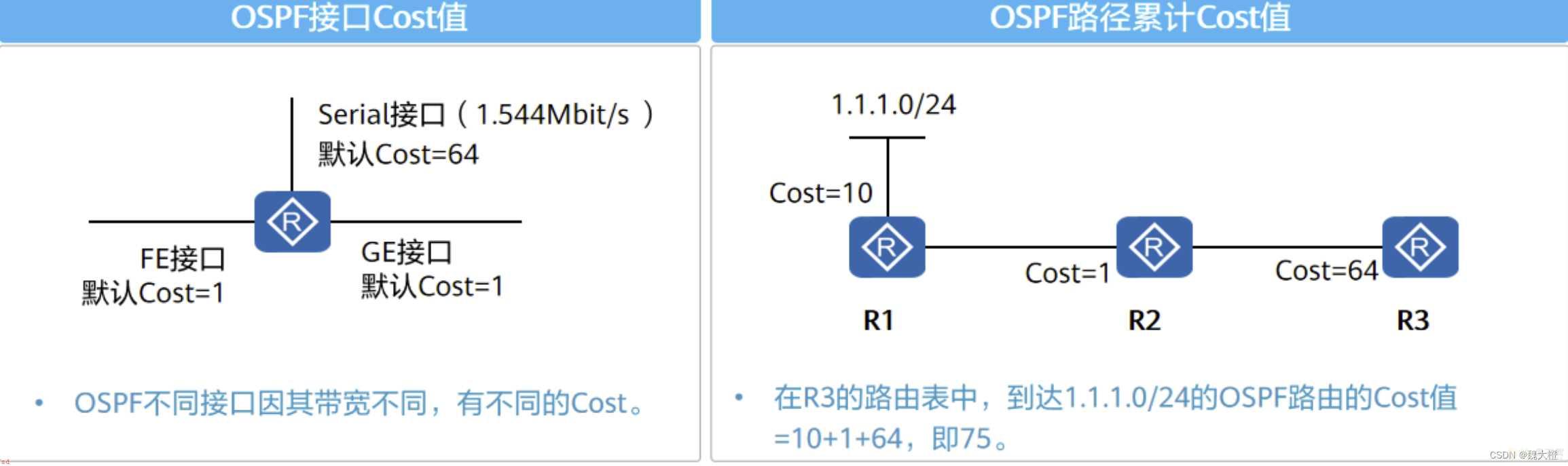 动态路由，OSPF