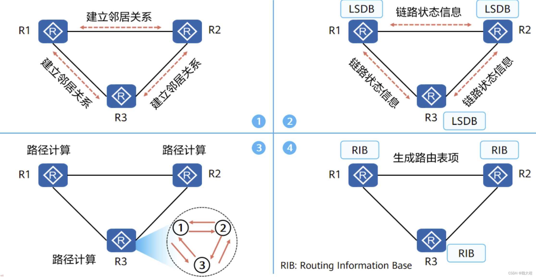 动态路由OSPF（开放式最短路径优先协议）配置实验报告