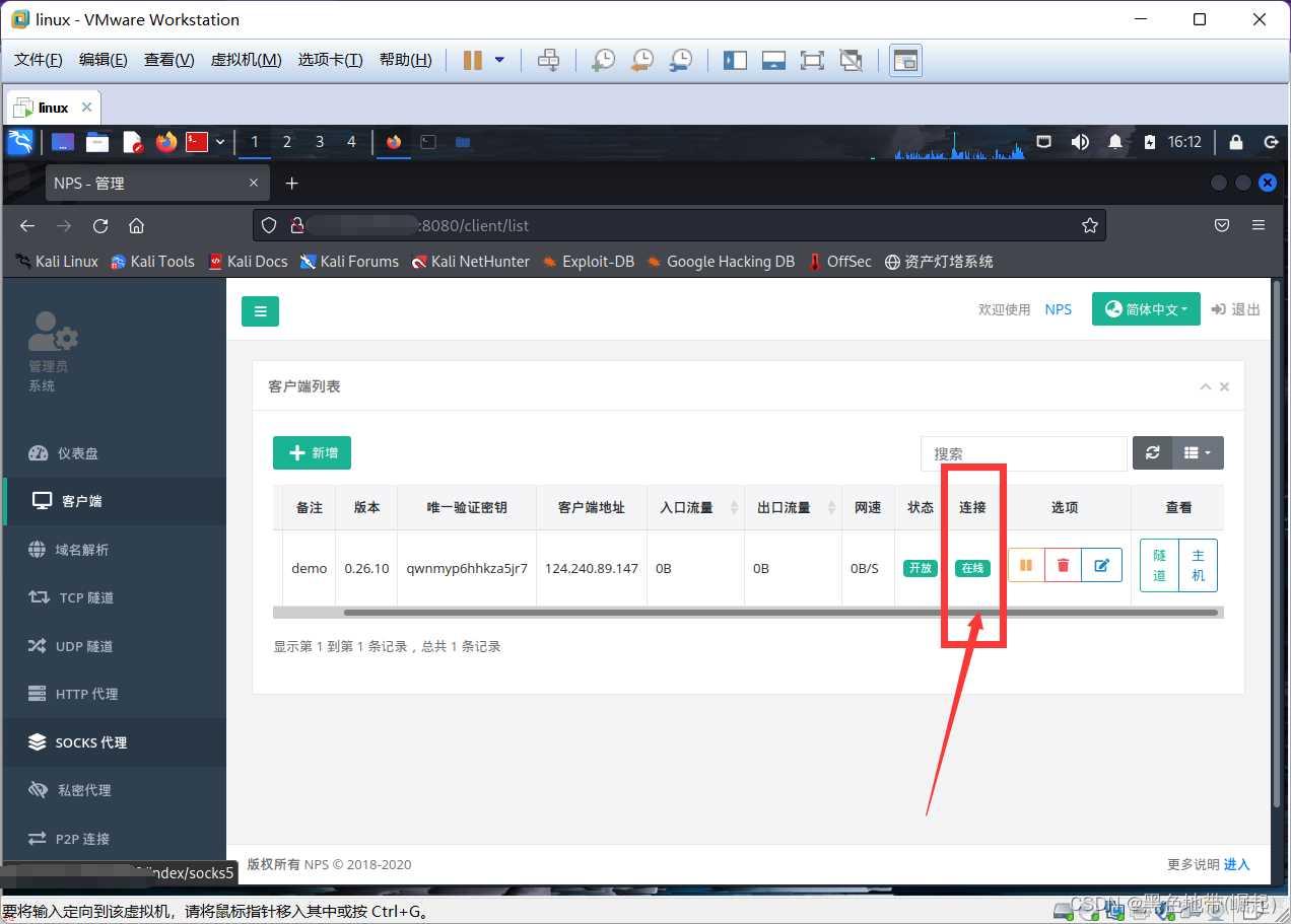 隧道搭建，内网穿透，Nps